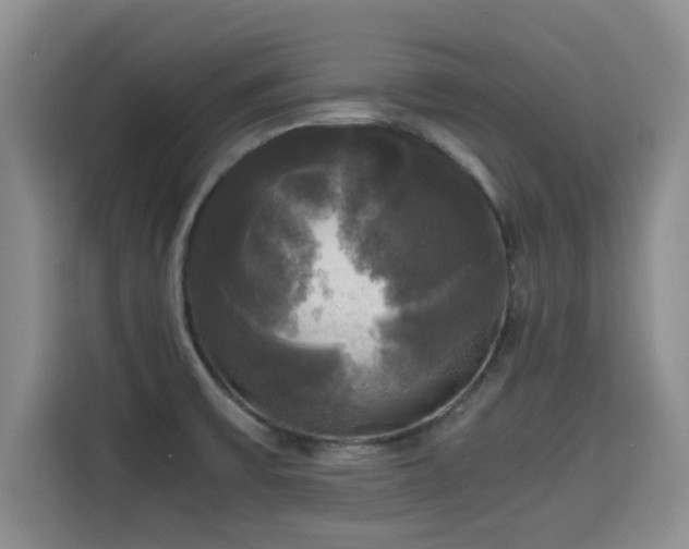 X0000115661475200911190955