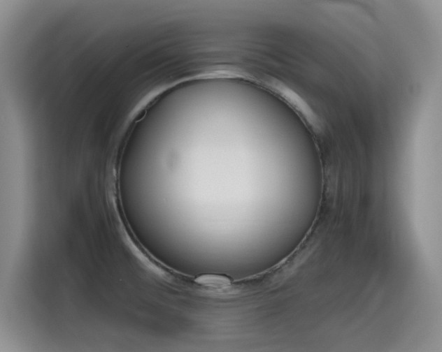X0000115661476200911190955