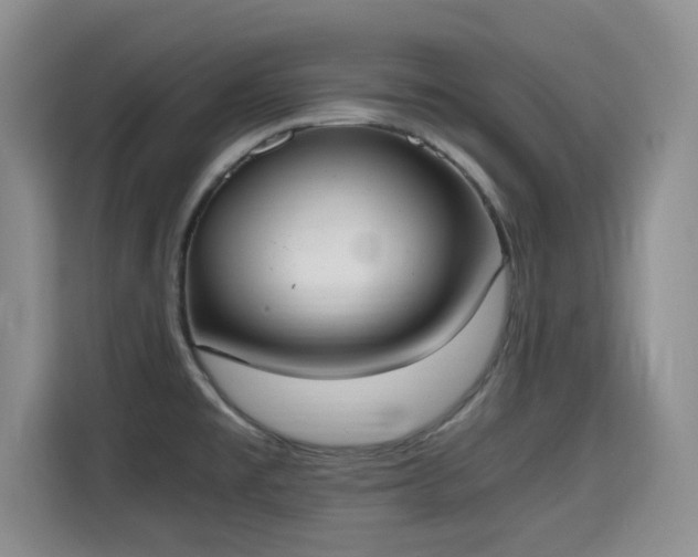 X0000115661477200911190955