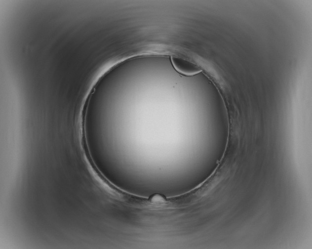 X0000115661479200911190955