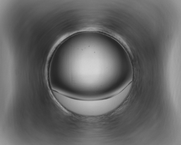 X0000115661480200911190955