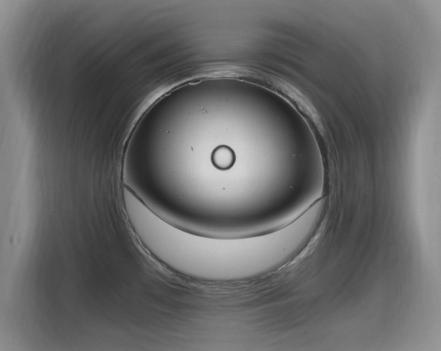 X0000115661481200911190955
