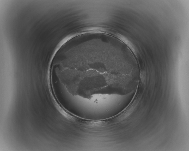 X0000115661482200911190955