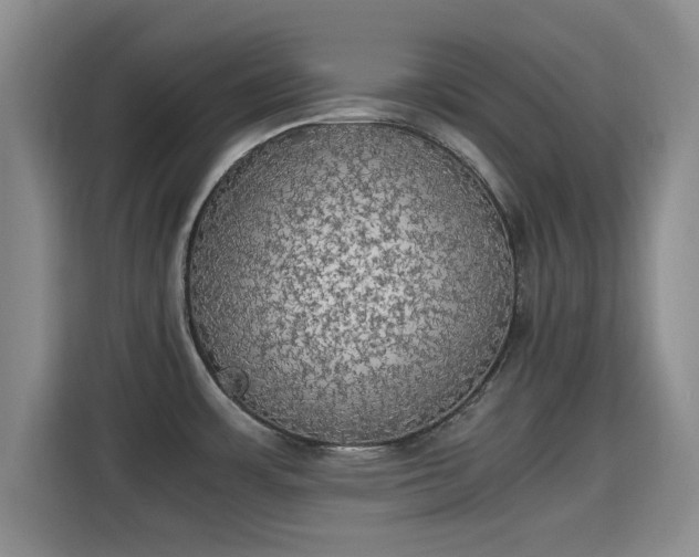 X0000115661483200911190955
