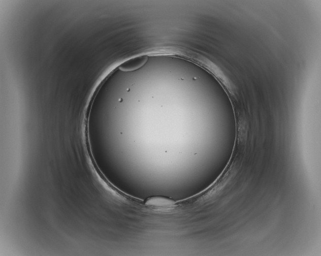 X0000115661484200911190955