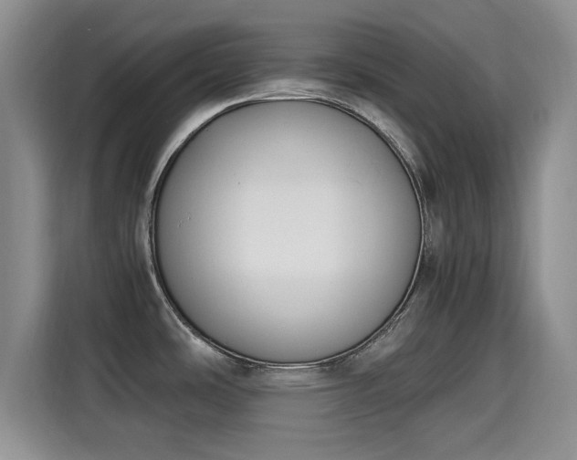 X0000115661486200911190955