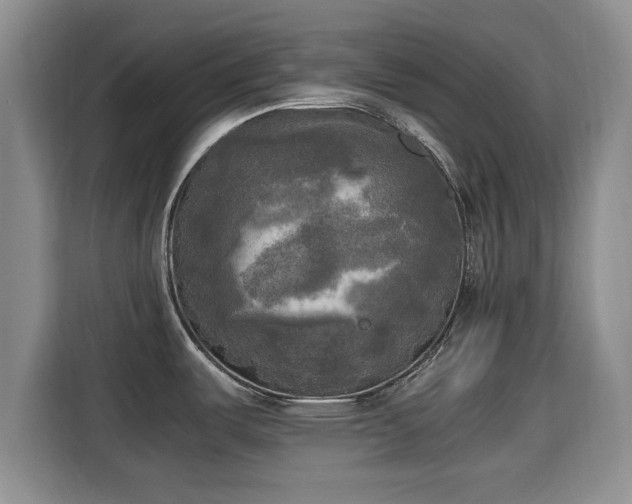 X0000115661487200911190955