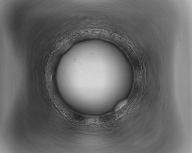 X0000115661489200911190954