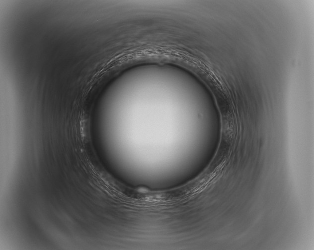X0000115661490200911190954