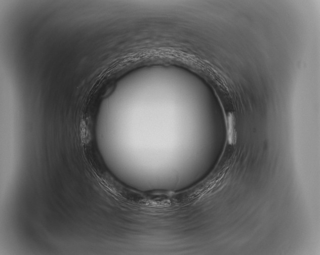 X0000115661491200911190954