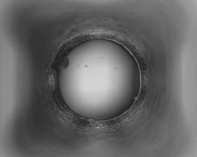 X0000115661493200911190954