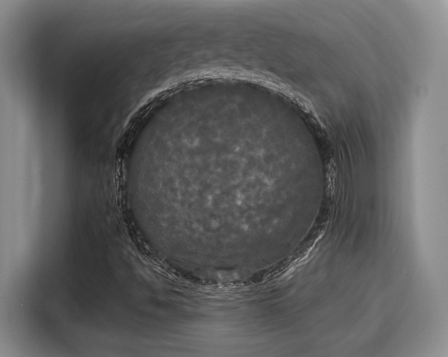 X0000115661494200911190954
