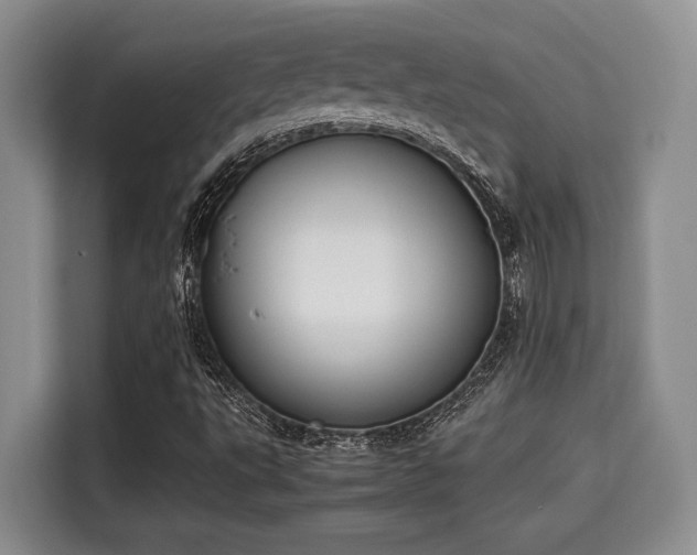 X0000115661495200911190954