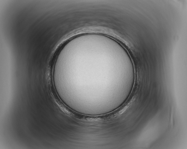 X0000115661498200911190954