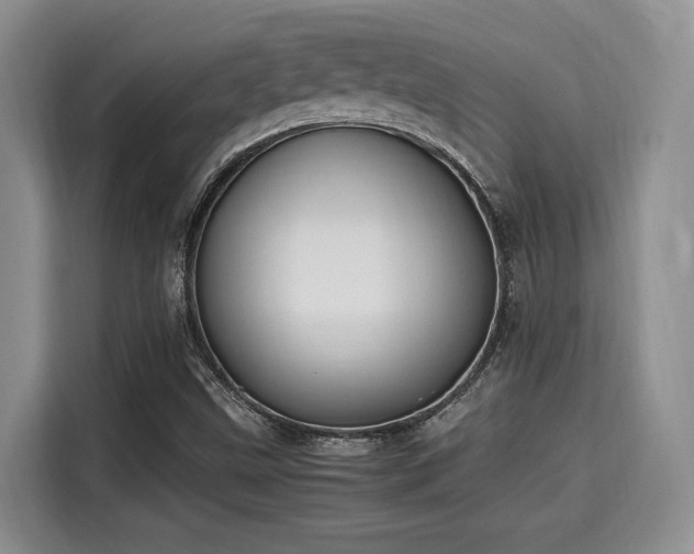 X0000115661499200911190954