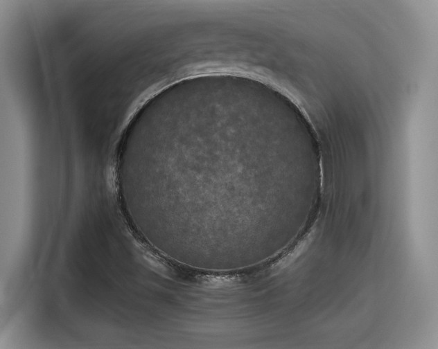 X0000115661501200911190954
