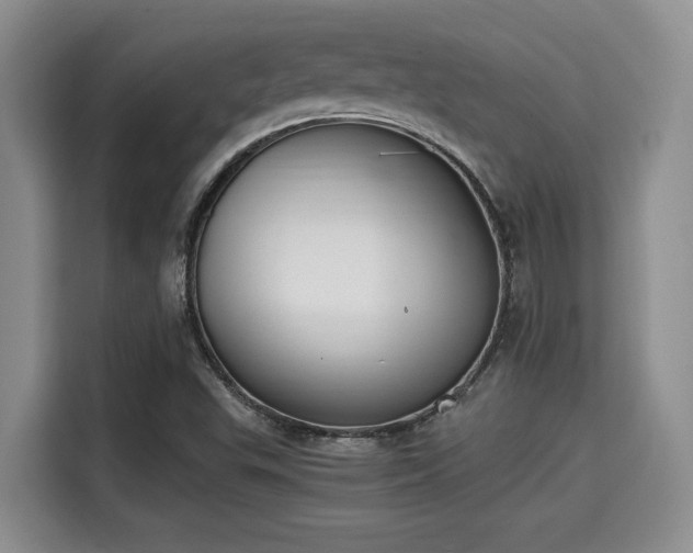 X0000115661503200911190954