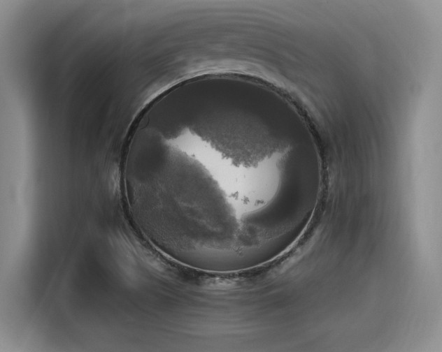X0000115661505200911190954