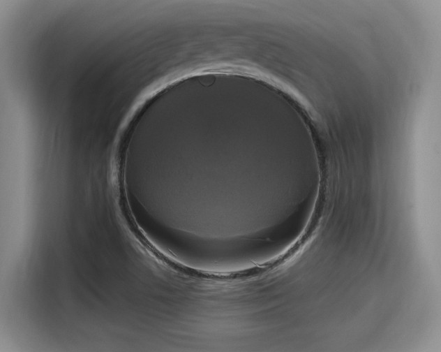 X0000115661506200911190954