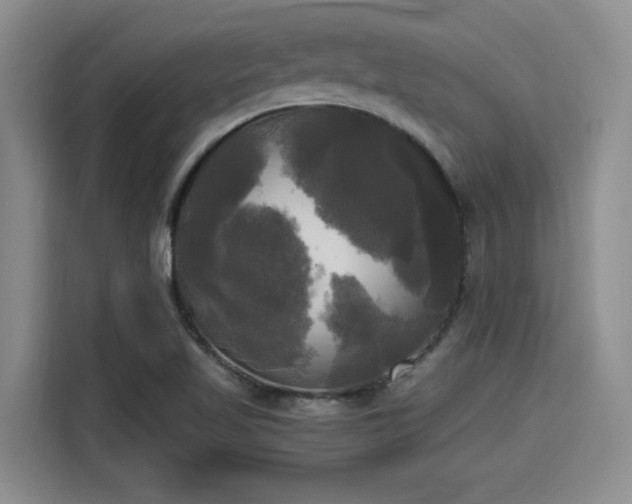 X0000115661509200911190954