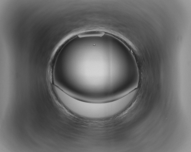 X0000115661510200911190954