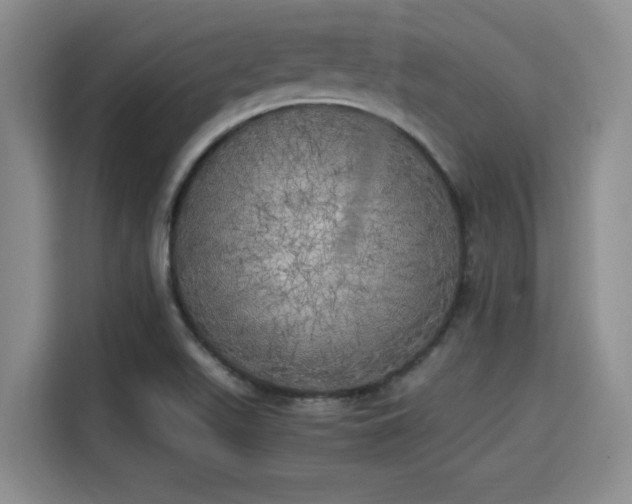 X0000115661511200911190954