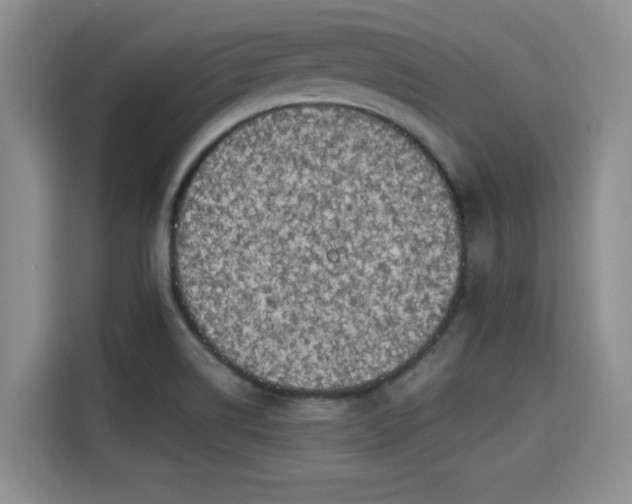 X0000115661514200911190954