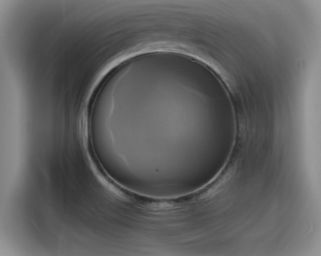 X0000115661515200911190954