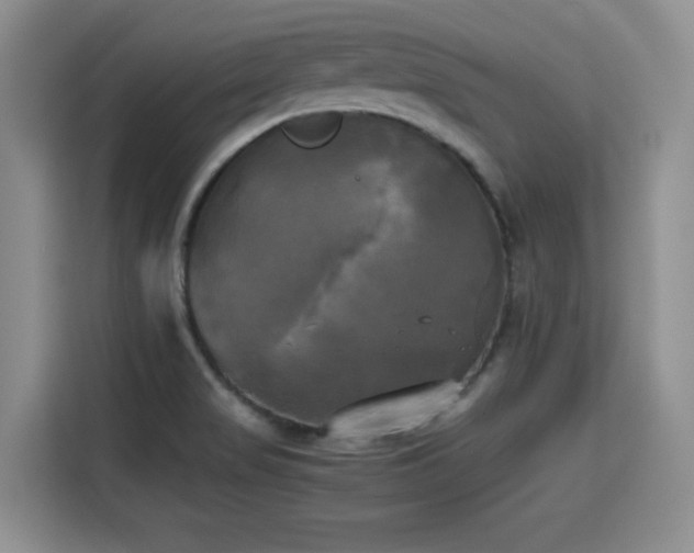 X0000115661517200911190954