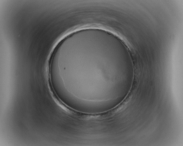 X0000115661519200911190954