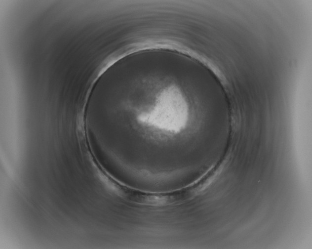 X0000115661521200911190954