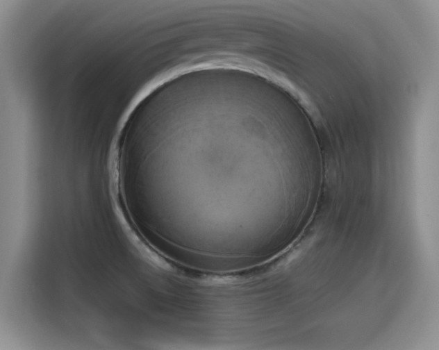 X0000115661522200911190954