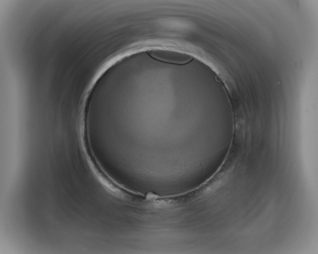 X0000115661523200911190954