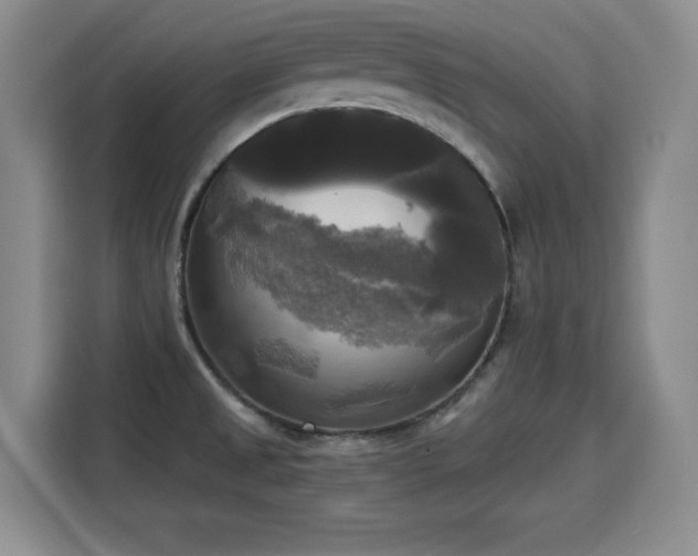 X0000115661525200911190955