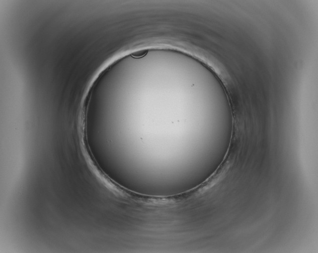 X0000115661526200911190955