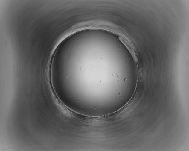 X0000115661530200911190955