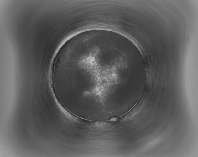 X0000115661531200911190955