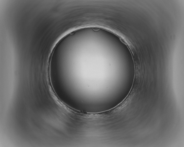 X0000115661534200911190955