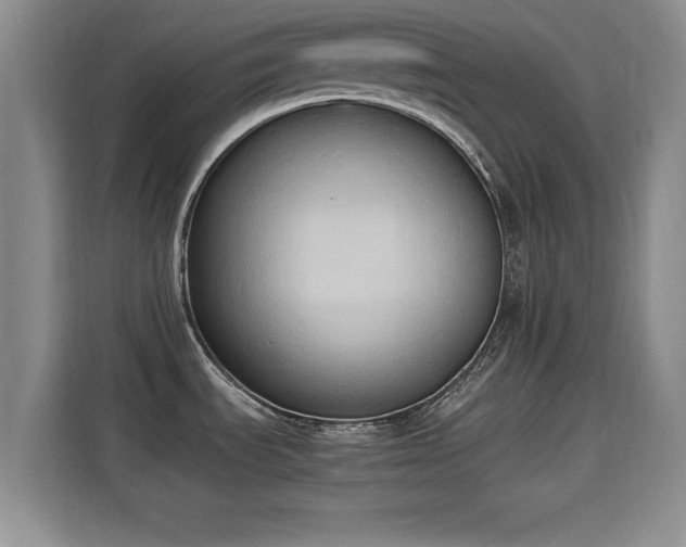 X0000115661535200911190955