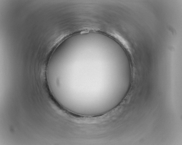 X0000115660009200911251719