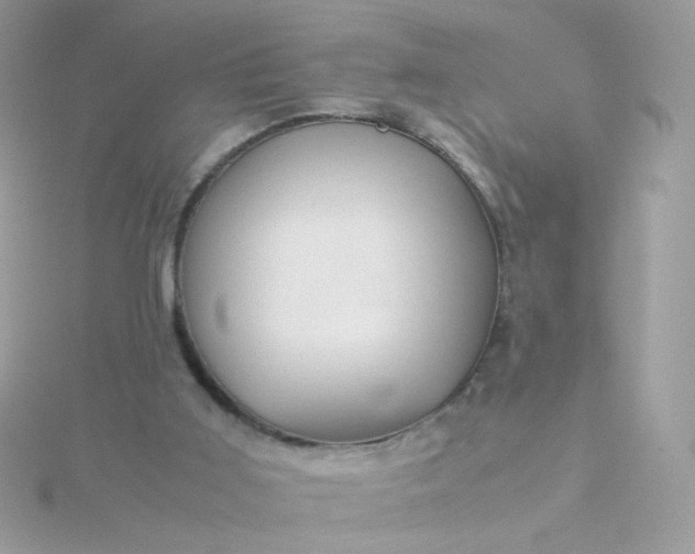 X0000115660011200911251719