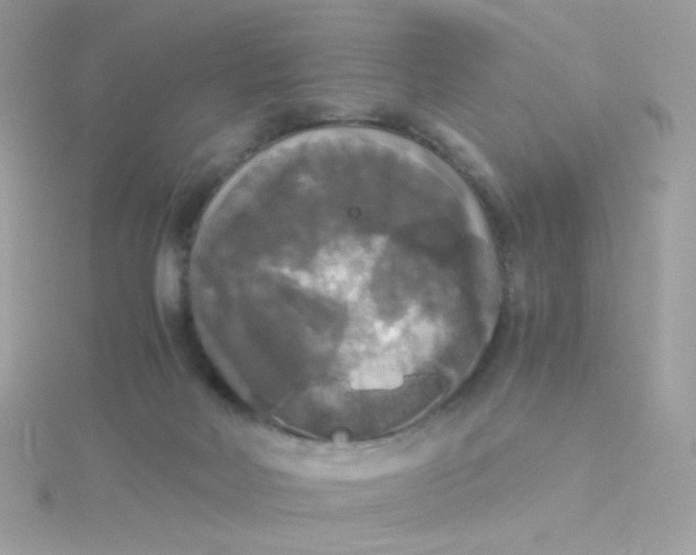 X0000115660026200911251719