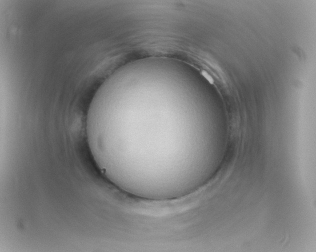X0000115660029200911251719