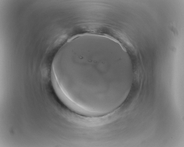 X0000115660031200911251719