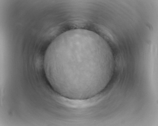X0000115660034200911251719