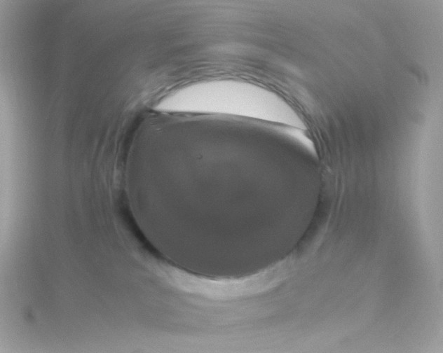 X0000115660039200911251719