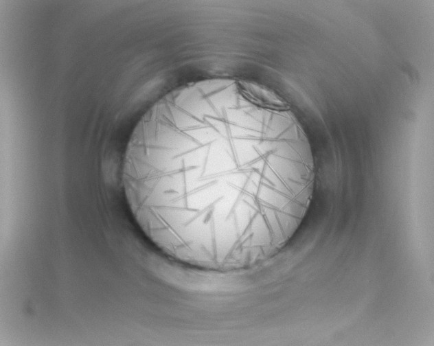 X0000115660044200911251719