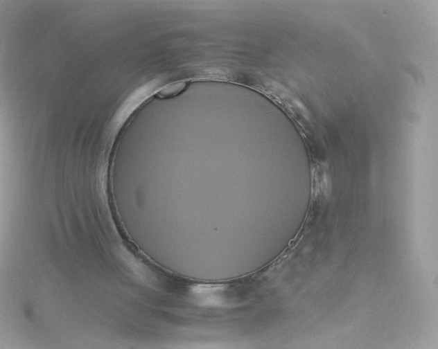 X0000115660051200911251718