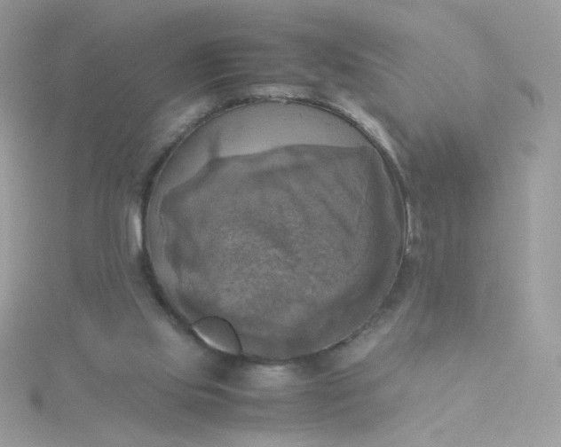 X0000115660061200911251718