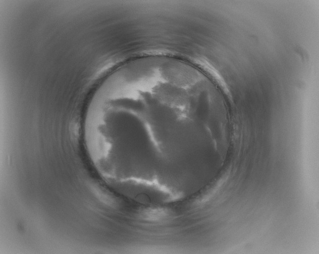 X0000115660063200911251718